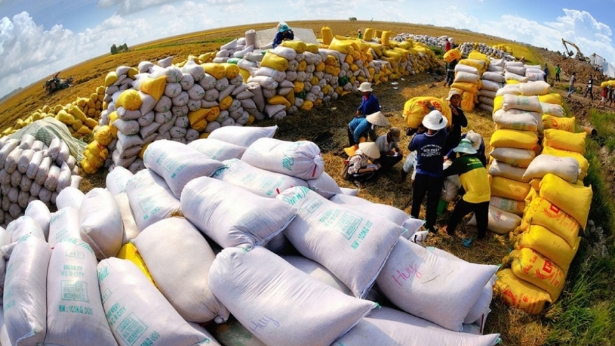 Vietnamese 5% broken rice export price hits new high globally again